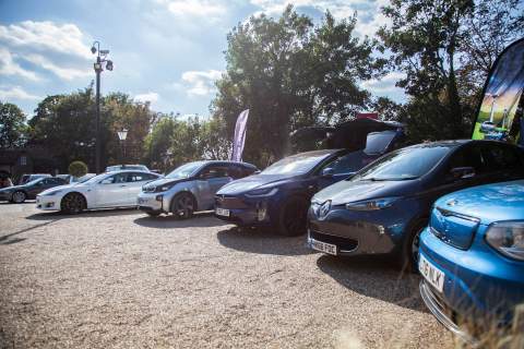 line up of many electric vehicles