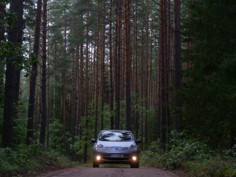 LEAF’s test drive. Crossing Biebrza National Park 