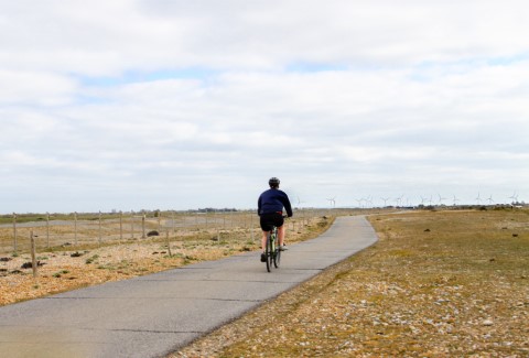 Cycle lane