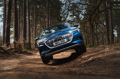 Exterior front view of a blue Audi e-tron on trees background