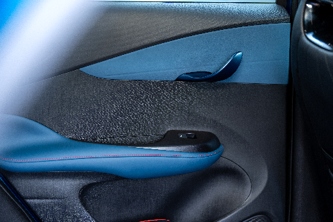 BYD Dolphin door handles