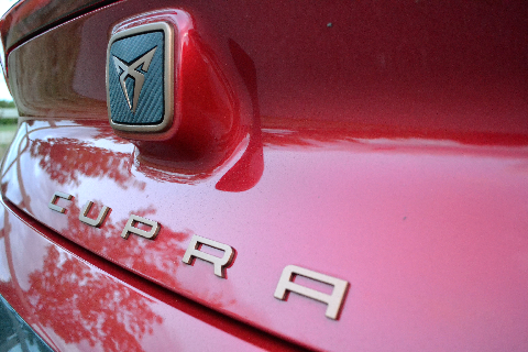 CUPRA Born logo