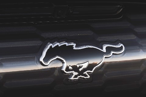 Ford Mustang logo 